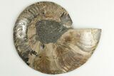 5.45" Cut & Polished Ammonite Fossil (Half) - Madagascar - #200088-1